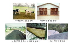 전북도, 축산분야 폭염피해 최소화 대책 추진