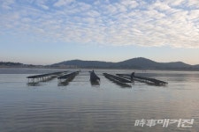 청정해역 신안1004굴, 신세계백화점 첫 납품