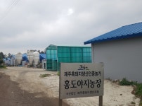 21세기축산, 제주흑돼지 홍도야지‧돈마호크 네이버쇼핑 라이브 방송