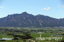 영암군, 특산 무화과 겨울철 동해 피해 예방시설 지원