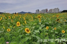 목포시, 추석 연휴 남항서 색다른 추억 만들기에 흠뻑