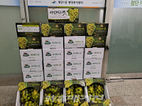 첨단1동 익명의 기부천사 올해도 나눔 실천