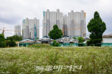 7년의 기록, 5·18기획전시 SOS 풍경 Ⅳ 사진전