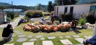 할로윈~ 축제 별똥밭농장 준비 척척!