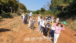 전주 호남유치원 텃밭 농장...고구마 캐기 체험하며 기뻐하는 아이들