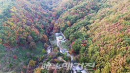 광양시 백운산 어치계곡 생태탐방로 가는 길