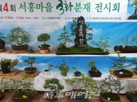 서홍동마을회, 국화분재교실 수강생 작품 300여점 전시회 개최