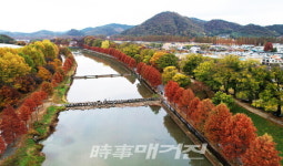 [포토] 가을 머금은 담양 관방제림