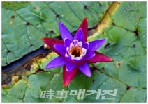 순천시, 동천변 저류지에 경관을 담아 꽃 피우다!