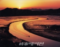 순천만 갯벌, 유네스코 세계자연유산 등재  순천을 빛낸 10대 뉴스 1위 선정