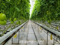 임실군, 임산부에 친환경 농산물 지원