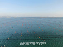 진도군, 어업인 대상 재해보험 부담금 확대 지원