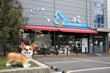 강동구, 유기동물 입양비 지원.. 1마리당 최대 15만원