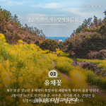 제주관광공사 2022년 봄, 놓치지 말아야 할 제주관광 10선 선정