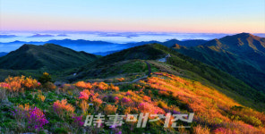 구례군, 노고단 일주도로 11일부터 통행재개