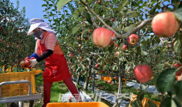 장수군, 여성농업인 복지서비스 확대