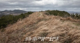 문화도시서귀포, 성읍새김으로 담은 성읍1리 노지문화 전시회 개최