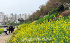 광산구 풍영정천 행복 꽃길 걸으며 힐링하세요