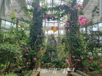 구례수목원 전시관 여름꽃 만발