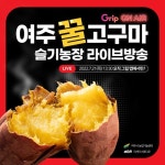 여주 슬기농장, 꿀고구마 라이브커머스 판매