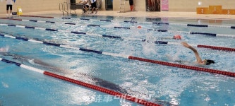 부산장애인수영연맹 회장배, 장애인·비장애인 어울림 수영대회 성료