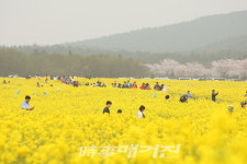 농식품부 선정 2022년 으뜸촌, 제주 가시리마을