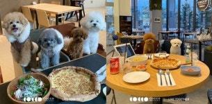 코코스퀘어, 규제 샌드박스 특례 승인 반려동물과 식당에서 함께 겸상 가능해져