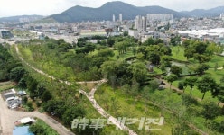 전남도 기후대응 도시숲 조성 377억 투입