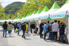 양평 용문산 산나물축제, 경기관광축제 선정 쾌거