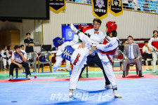 제34회 경상북도지사기 대회 성황리에 막내려