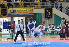 제51회 교육감기 태권도대회 및  제54회 전국소년체전 1차 선발대회 개최