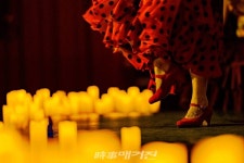 봄밤을 수놓는 촛불과 선율, 캔들라이트 벚꽃 콘서트 국내 개최