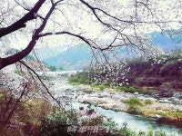[조용우의 포토에세이] 공산무인 수류화개(空山無人, 水流花開)…자연, 고요히 제 길을 간다
