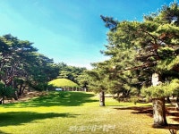 [조용우의 포토에세이] 통일신라 제42대왕 흥덕왕릉