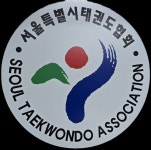 2025 서울특별시 한마음 태권도 페스티벌 개최