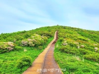 [조용우의 포토에세이] 6월의 지리산 노고단
