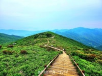 [조용우의 포토에세이] 6월의 지리산 노고단