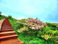 [조용우의 포토에세이] 6월의 지리산 노고단