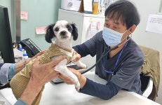 성남시립동물병원, 진료 대상 시민 입양 유실·유기동물까지 확대... 유기동물 입양 활성화 기대