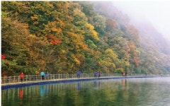 삼척 오십천로 등 아름다운 우리강 탐방로 100선