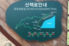 [주말엔 뭐하지?] 위로와 힐링을 함께...커피의 도시 강릉으로 떠나자