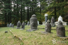 [주말엔 뭐하지?] 동계올림픽 감동의 그 곳...9월 첫째 주 강원도 평창으로