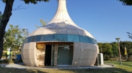 [주말엔 뭐하지?] 대한민국 컬링 대표팀 키운 마늘의 힘...경북 의성으로 가자