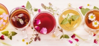 [문기영의 홍차수업] (22) 서구에서 급성장중...허브차 이야기