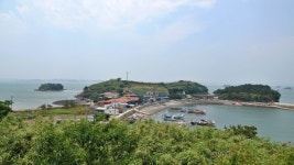 [박성기의 도보기행] 시누대 섬, 죽도(竹島)를 걷다