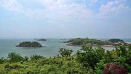 [박성기의 도보기행] 시누대 섬, 죽도(竹島)를 걷다
