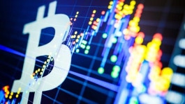 美 50세 미만 비트코인 투자자, 3년 새 10%P 늘어