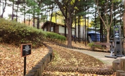  [박경희의 겨울 트레킹] 감춰진 서울 남산 숲길을 걷다...남산의 재발견