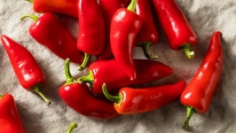 고추 매운 성분 캡사이신, 신경 통증 완화 효과