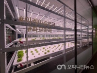 [르포] 한국 진출 10년차 이케아…규모의 경제로 선순환 노린다